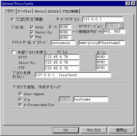 Options Proxy and Gateway 